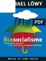 Lowy Ecosocialismo