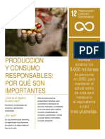 Objetivo 12 - Producción y Consumo responsables.pdf