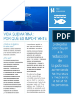 Objetivo 14 - Vida submarina.pdf