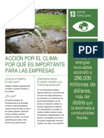 Objetivo 13 - Acción por el clima (individuos).pdf