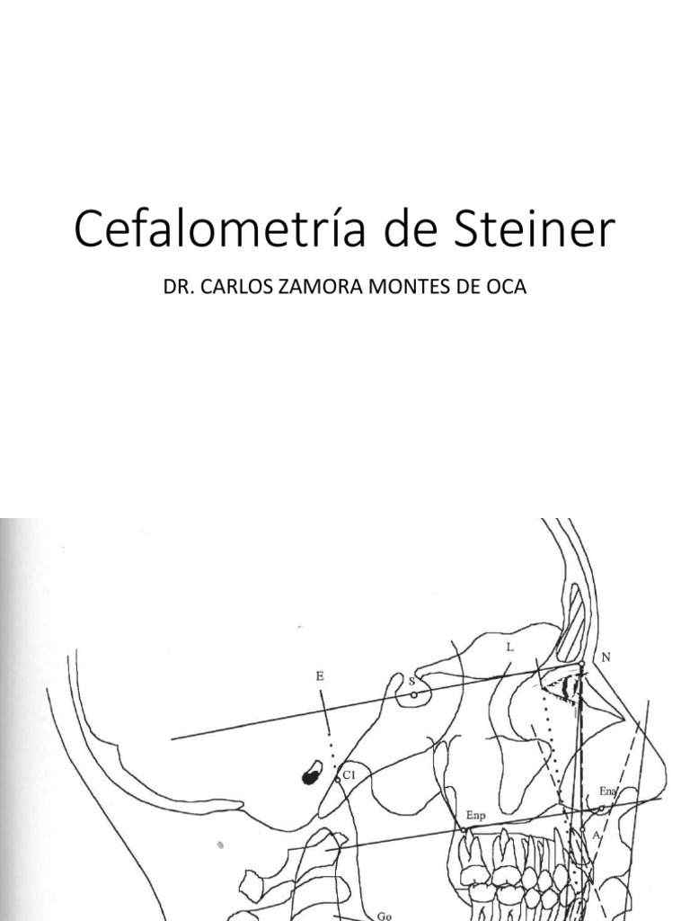 Cefalometria de Steiner | PDF