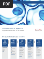 24 Stem Cell Therapy in Neurological Disorders 4th Edition | PDF