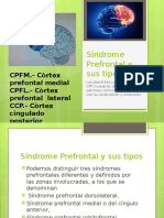 Síndrome Prefrontal y Sus Tipos