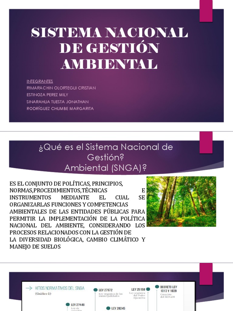 Sistema Nacional de Gestión Ambiental | PDF | Gobierno | Politica Ambiental