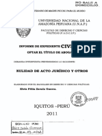 Informe de Expediente Civil. Nulidad de Acto Jurídico y Otros PDF