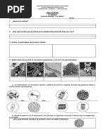 Guia 5to Celula y Organismos