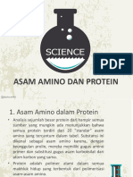 Asam Amino Dan Protein