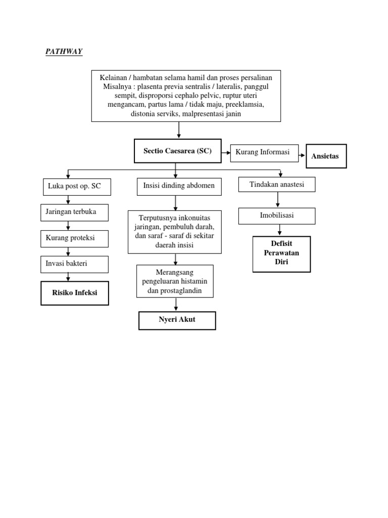 Pathway Persalinan Sectio Caesarea | PDF