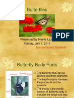 Butterflies: Presented by Noelia Lazo Sunday, July 7, 2019