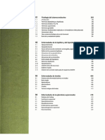 Endocrinologia - Manual Cto (7ª Edición)