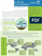 Volante Eficiencia en El Uso Del Nitrogeno Final PDF