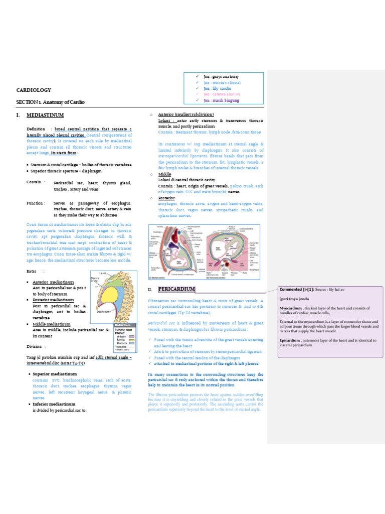 Anatomy of the Pericardium and Heart | PDF | Coronary Circulation ...