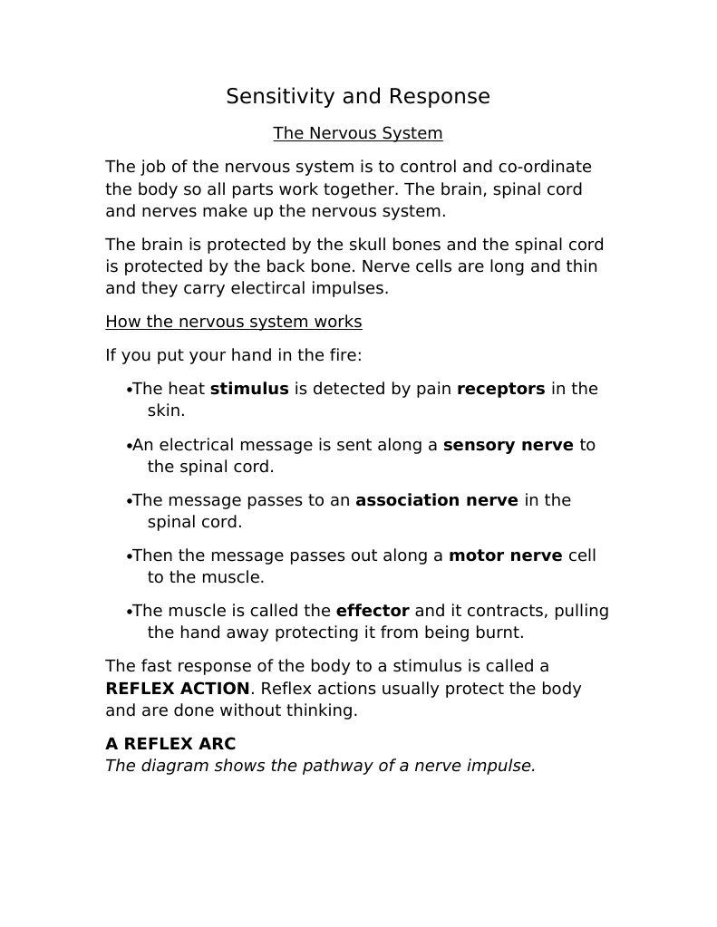Understanding Reflex Actions in the Nervous System | PDF | Wellness