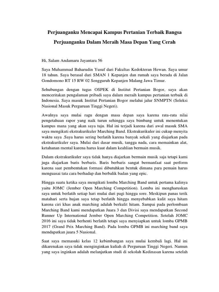 Muhammadbaharudinyusuf B04190053 Snmptn Perjuanganku Dalam Meraih Masa Depan Yang Cerah Pdf