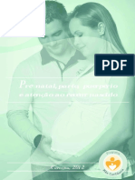 Protocolo Mãe Curitibana 2012 PDF