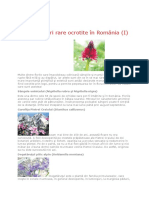 Flori Rare Docx