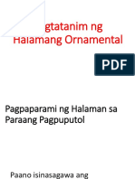 Pagtatanim NG Halamang Ornamental w5