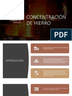 CONCENTRACIÓN DE HIERRO FINAL 1.pptx