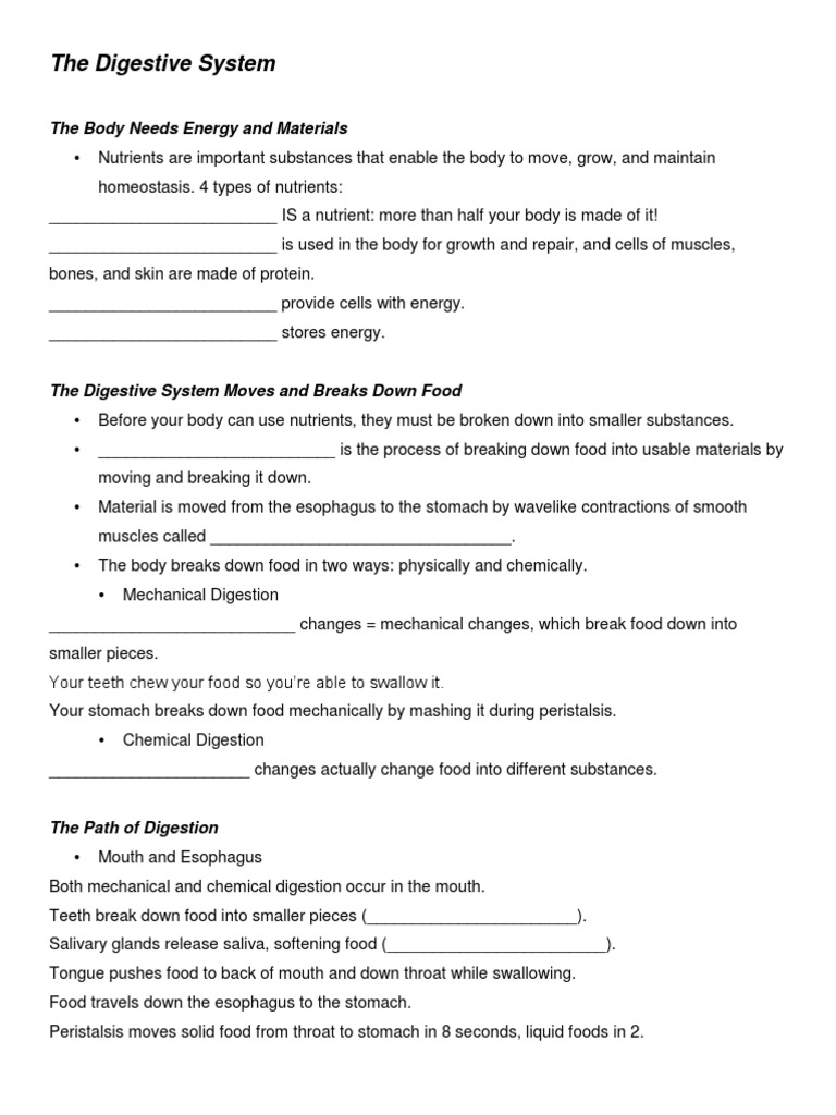 Worksheet Digestion Human Digestive System