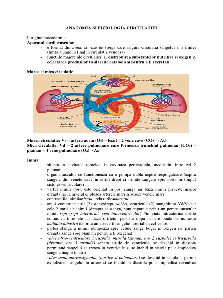 Rezumat Circulatia Docx