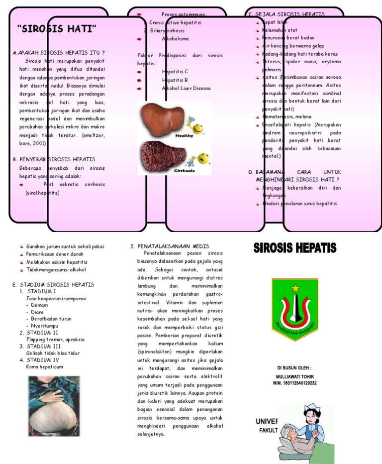 Leaflet Sirosis Hati PDF