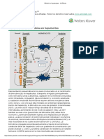 Bilirubin in Hepatocytes - UpToDate