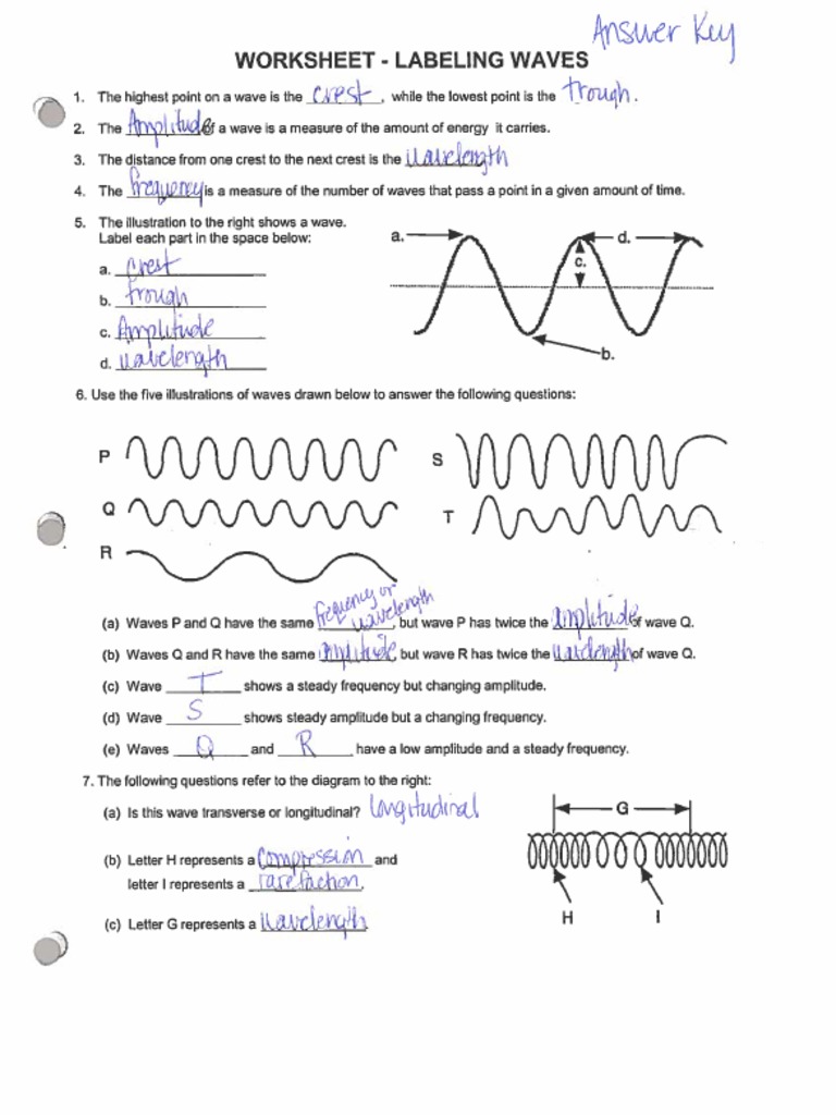 Labeling Waves Worksheet Answer Key