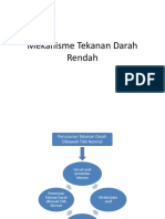 Mekanisme Tekanan Darah Rendah