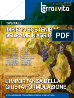 Impiego Sostenibile Del Rame in Agricoltura