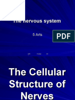 Nervous System