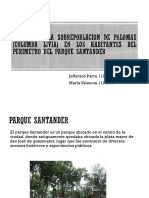 Impacto de La Sobrepoblacion de Palomas (Columba