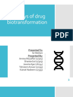 Pathways of Drug Biotransformation