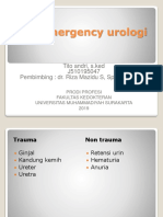 Emergency Urologi