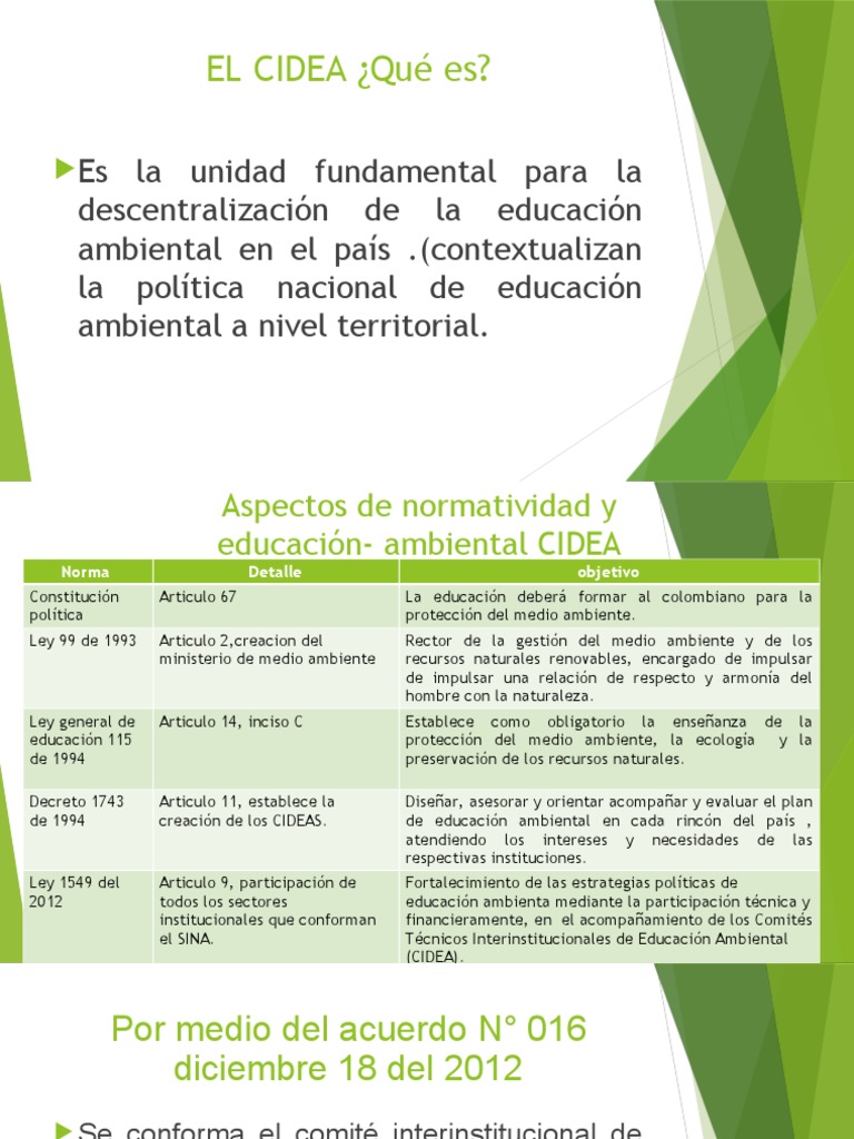 Qué es el CIDEA y su función ambiental | PDF | Organización no ...