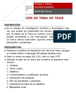 Sustentacion Tema de Tesis