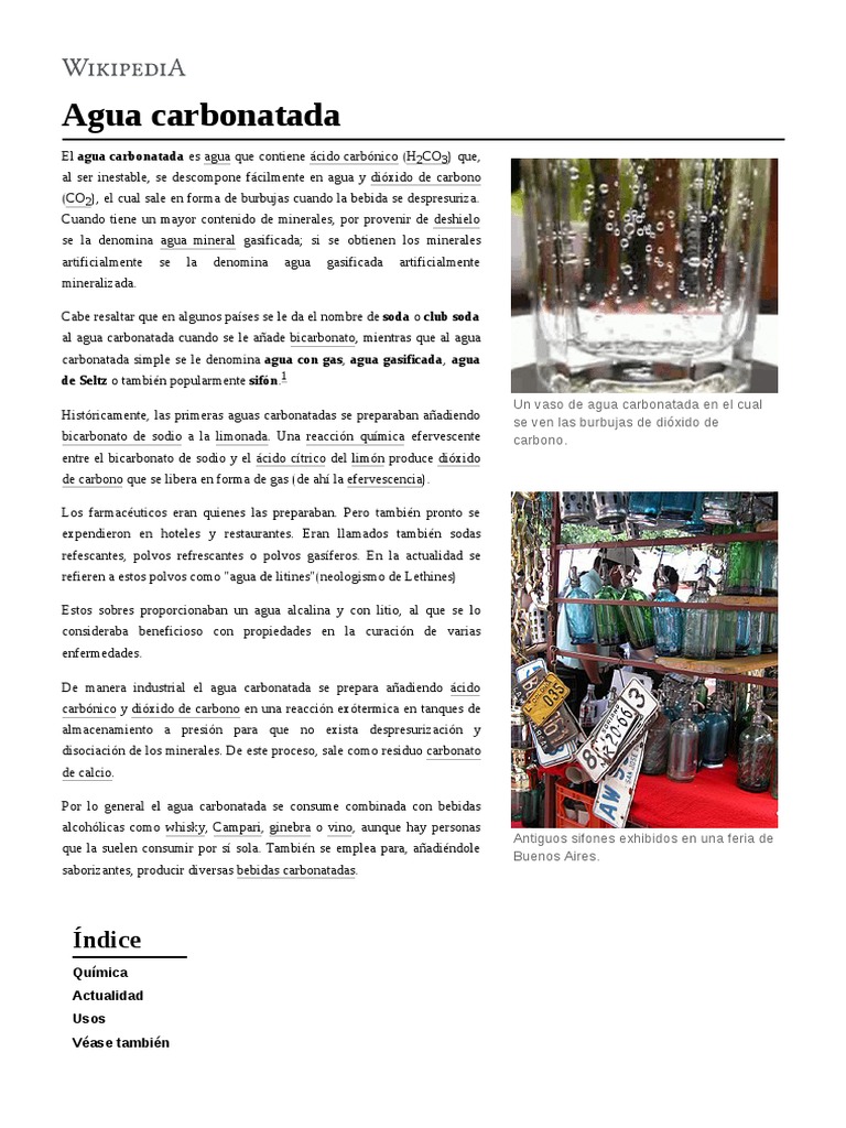 ¿Qué bebemos cuando bebemos agua con gas? | Gastronomía: recetas,  restaurantes y bebidas | EL PAÍS, image size:768x1024