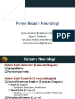 Pemeriksaan saraf.pdf