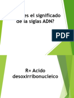 Significado y composición del ADN