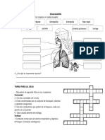 EVALUACIÓN Del Sistema Respiratorio