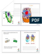 actividad 1 celula.docx