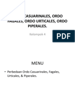 Ordo Casuarinales, Urticales, Piperales