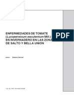 Enfermedades de Tomate (Lycopersicum Esculentum Mill.) en Invernadero en Las Zonas de Salto Y Bella Unión