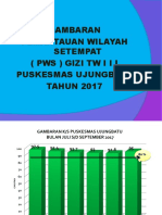 PWS TW III 2017