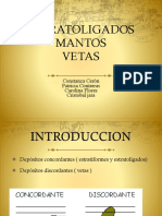 306012621-Vetas-Mantos-y-Stratoligados.pptx