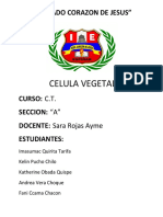 CEULA VEGETAL.docx