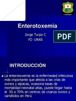 Enterotoxemia.ppt