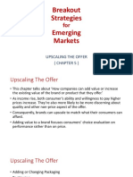 Breakout Strategies Emerging Markets: Upscaling The Offer (Chapter 5)