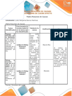 Matriz Resumen Y Diagrama Causa Efecto LudisBarros