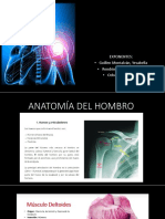 EXPOSICION TRAUMATOLOGIA -HOMRRO-