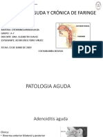 Presentacion Anatomica de Faringe